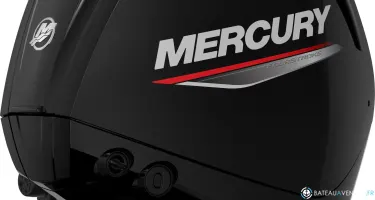 Mercury 115 cv efi CT