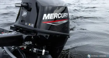Mercury 8 cv efi