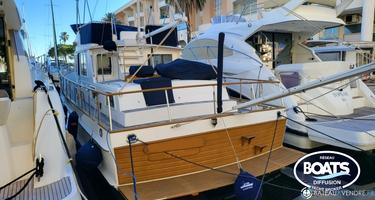 Grand Banks  42