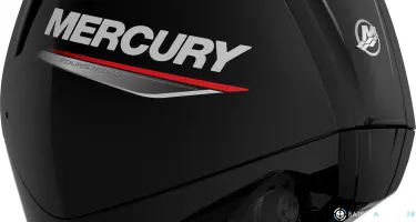 Mercury 100 cv efi CT