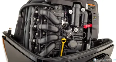 Mercury 100 cv efi CT