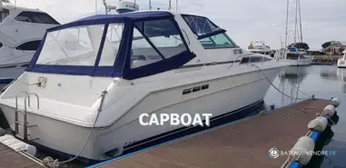 Sea Ray  420 DA