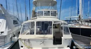 Caribbean Fishing 40