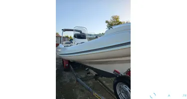 Nuova Jolly Prince 24