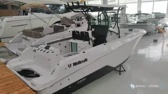 Wellcraft Fisherman 262