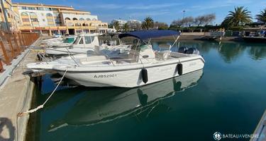 Boston Whaler 