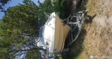 Quicksilver  510 Cruiser