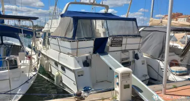 Gib Sea Jamaica 37