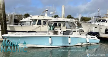 Wellcraft Scarab 302