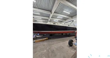 Cerri  28