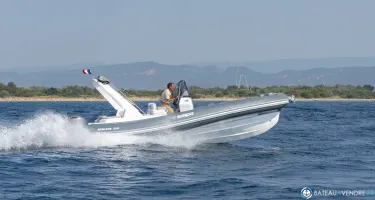 Salpa Soleil 26