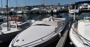 Tullio Abbate Sea Star