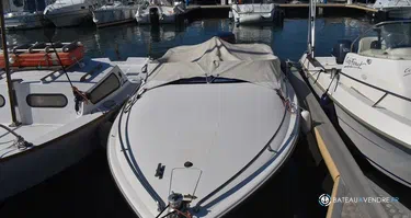 Tullio Abbate Sea Star