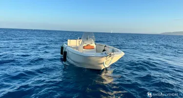 Invictus  190 FX