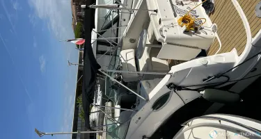 Bayliner  255