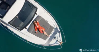 Sealine  C335