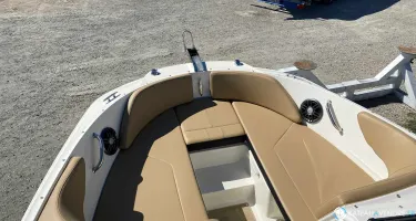 Sea Ray SPX 210 OB