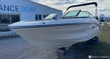 Sea Ray SPX 190 OB