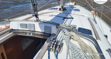 Alliaura Marine Feeling 39 Di