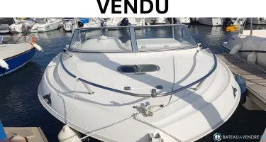 Quicksilver  520 Cruiser