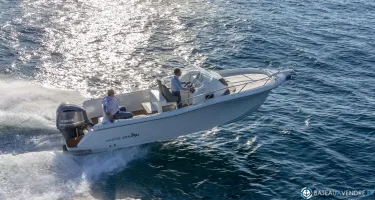 White Shark  240 SC