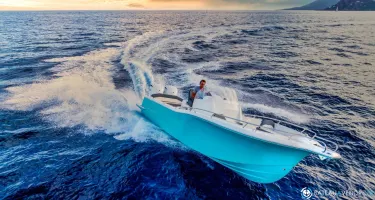 White Shark  280 CC Evo