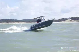 Ocqueteau Ostrea 600