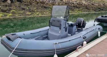 Zodiac Pro 550