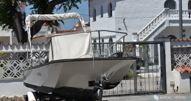 Boston Whaler  17 Montauk