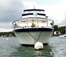 Tarquin Trader 41+2