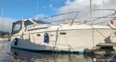 Arcoa  975
