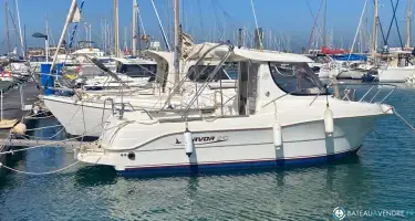 Arvor  210