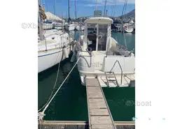 Arvor  210