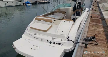 Sea Ray  300
