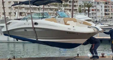 Sea Ray  300