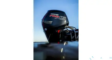 F 115 EFI PRO XS