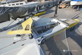 Newick  40