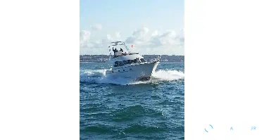 ACM Excellence Fishing 38