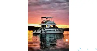 Riviera  36