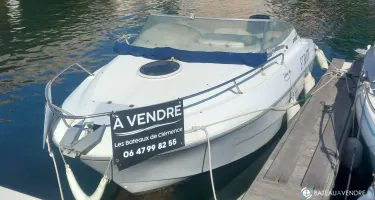 Sessa Marine Islamorada 19