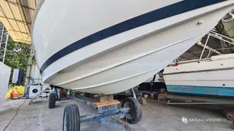Chris Craft  210 CC
