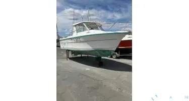 Ocqueteau  645 timonier