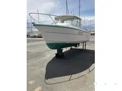 Ocqueteau  645 timonier