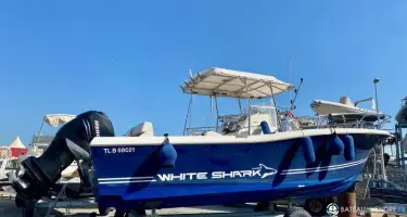 White Shark  285