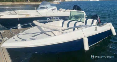 Quicksilver  500 Commander