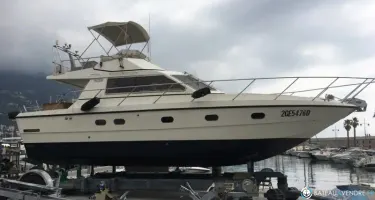 Concordia 