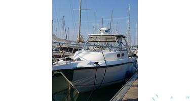 Boston Whaler  305 Conquest