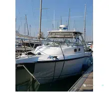 Boston Whaler  305 Conquest