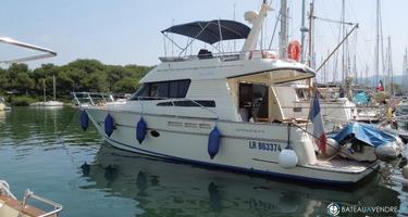 ACM Dynasty 43