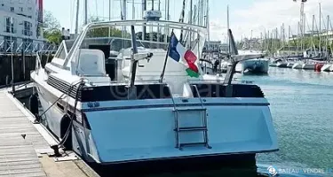 Chris Craft Amerosport 412